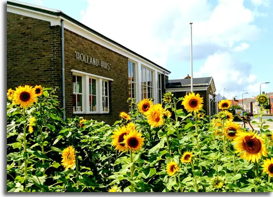 Het Holland Huis in Scherpenisse met zonnebloemen